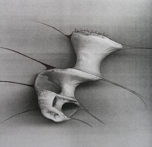 Shell paintings by Amiria Gale