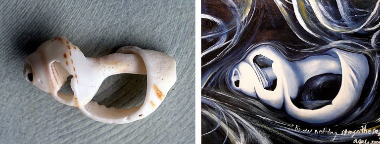 Shell paintings by Amiria Gale